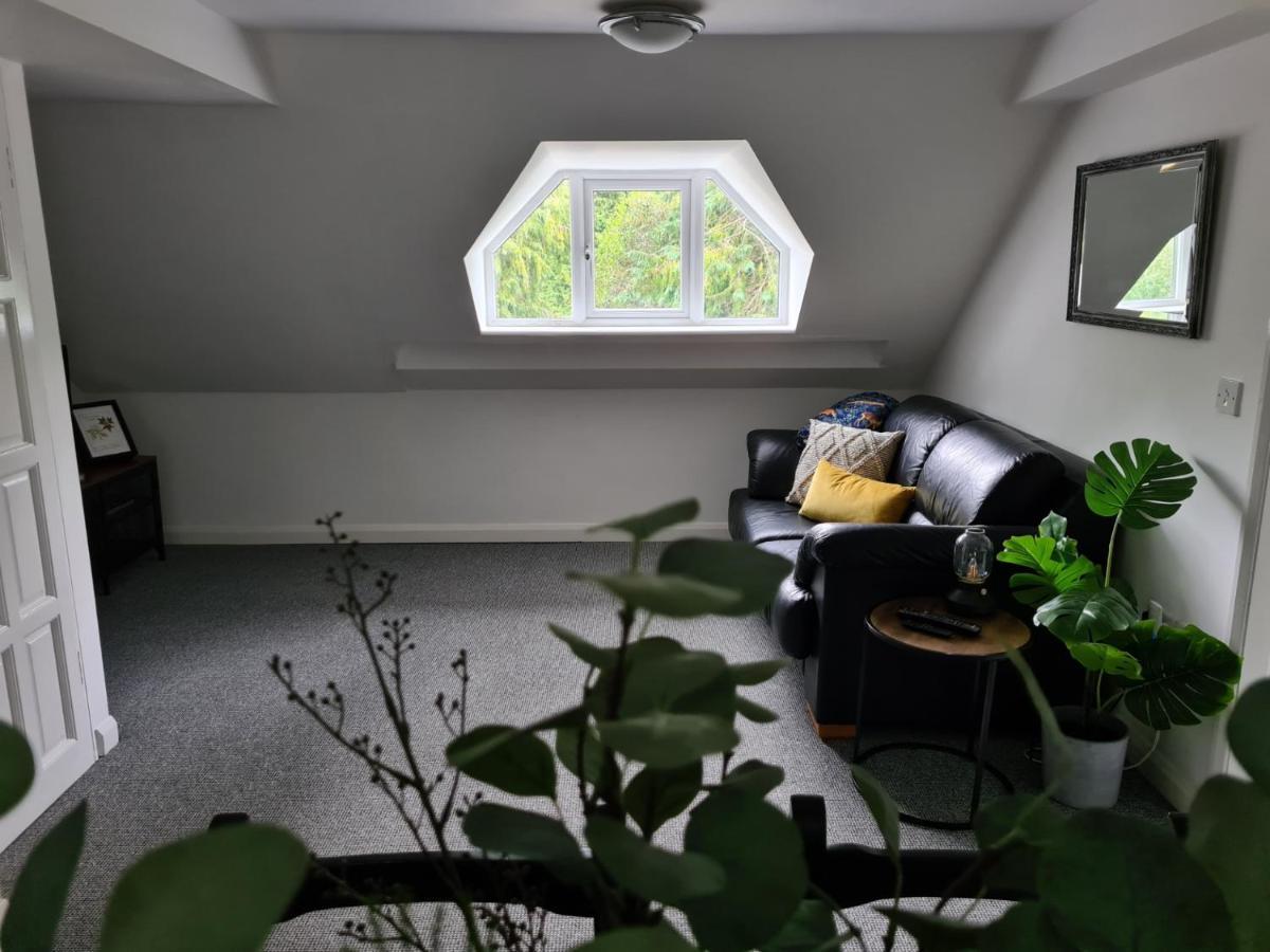 Park House Self-Contained Annex Ξενοδοχείο Mold Εξωτερικό φωτογραφία